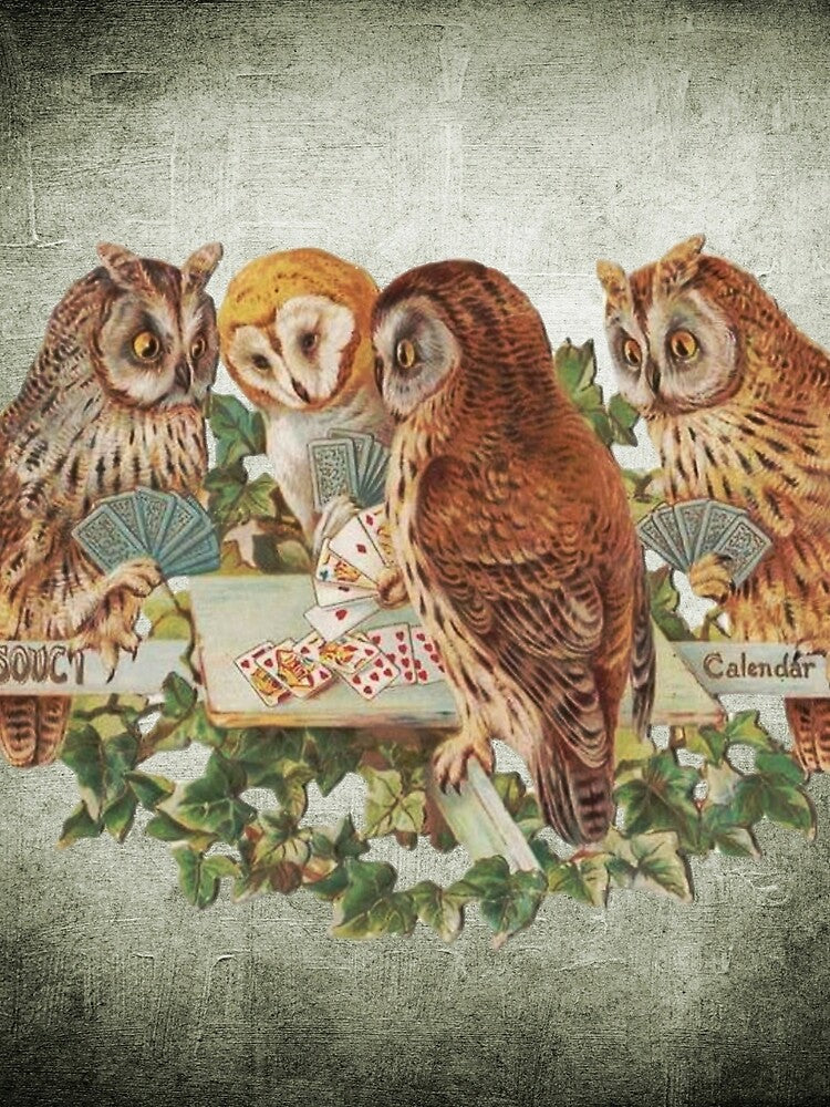 Cool Owls Gambling and Playing Poker on Table by critterville T-Shirts, Hoodie, Sweatshirt | BlankRebels.com (Image 2)
