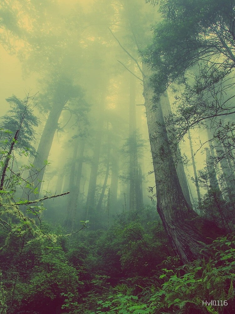 Foggy Green Lush Forest by Hvll1116 T-Shirts, Hoodie, Sweatshirt | BlankRebels.com (Image 2)
