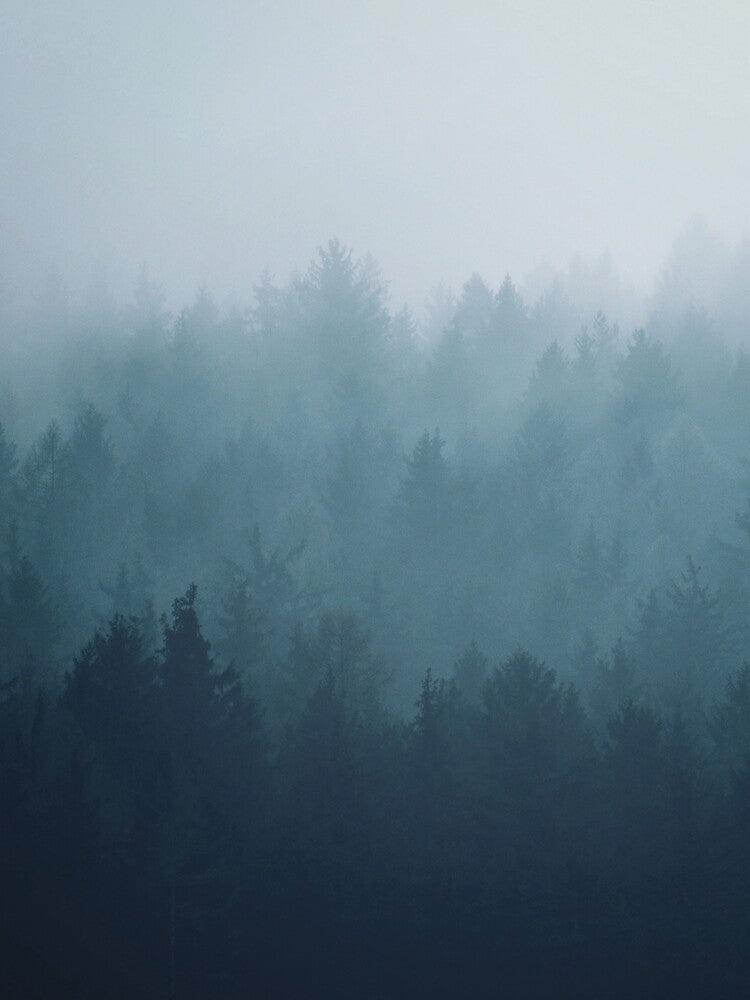 Blue forest fog by OkopipiDesign T-Shirts, Hoodie, Sweatshirt | BlankRebels.com (Image 2)