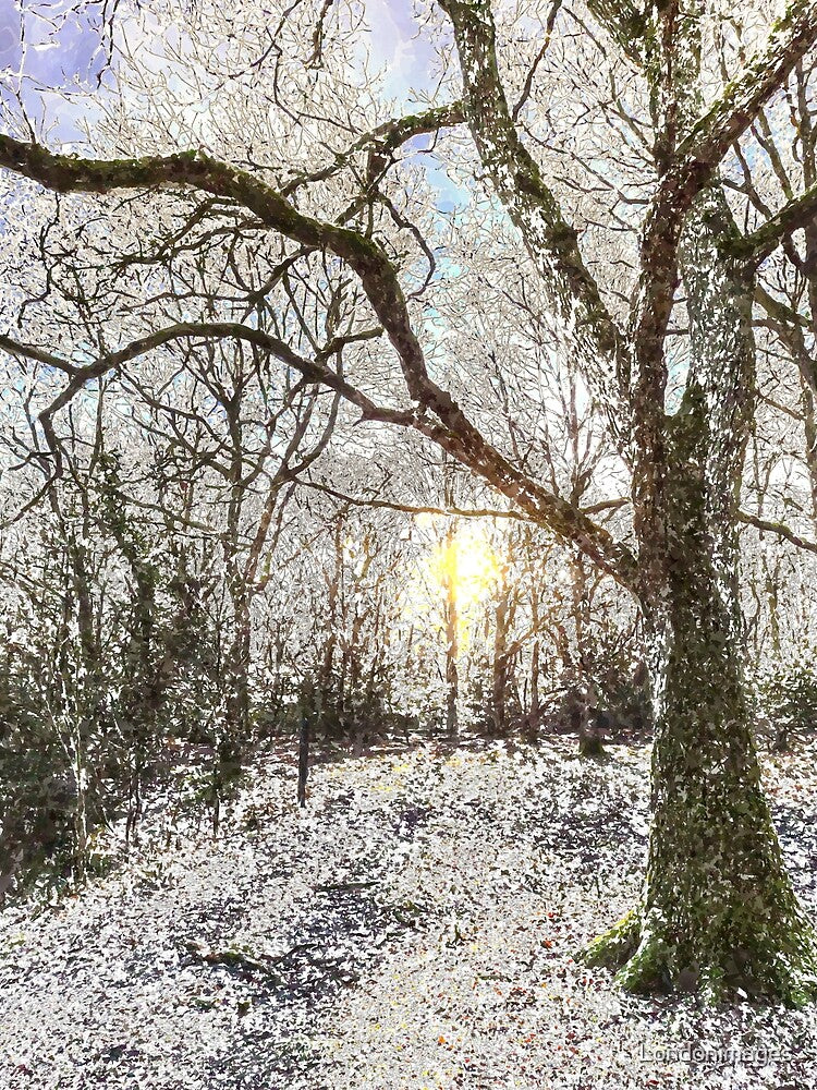 The Snow Forest Art by Londonimages T-Shirts, Hoodie, Sweatshirt | BlankRebels.com (Image 2)