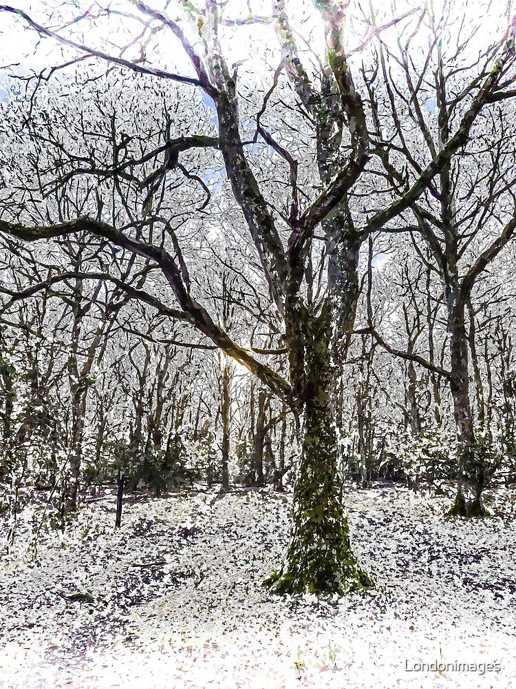 English Forest Snow Art by Londonimages T-Shirts, Hoodie, Sweatshirt | BlankRebels.com (Image 2)