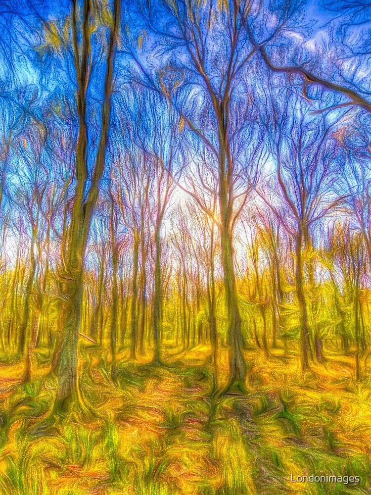 Warm Forest Art by Londonimages T-Shirts, Hoodie, Sweatshirt | BlankRebels.com (Image 2)