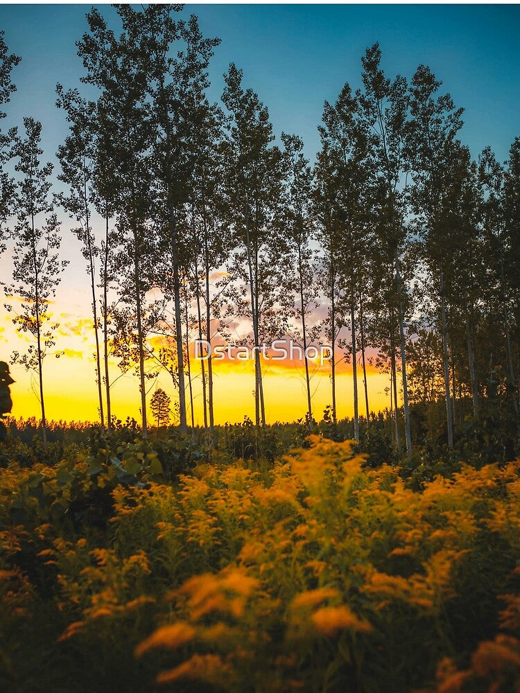 Beautiful sunset woods Reflecting serenity by DstartShop T-Shirts, Hoodie, Sweatshirt | BlankRebels.com (Image 2)
