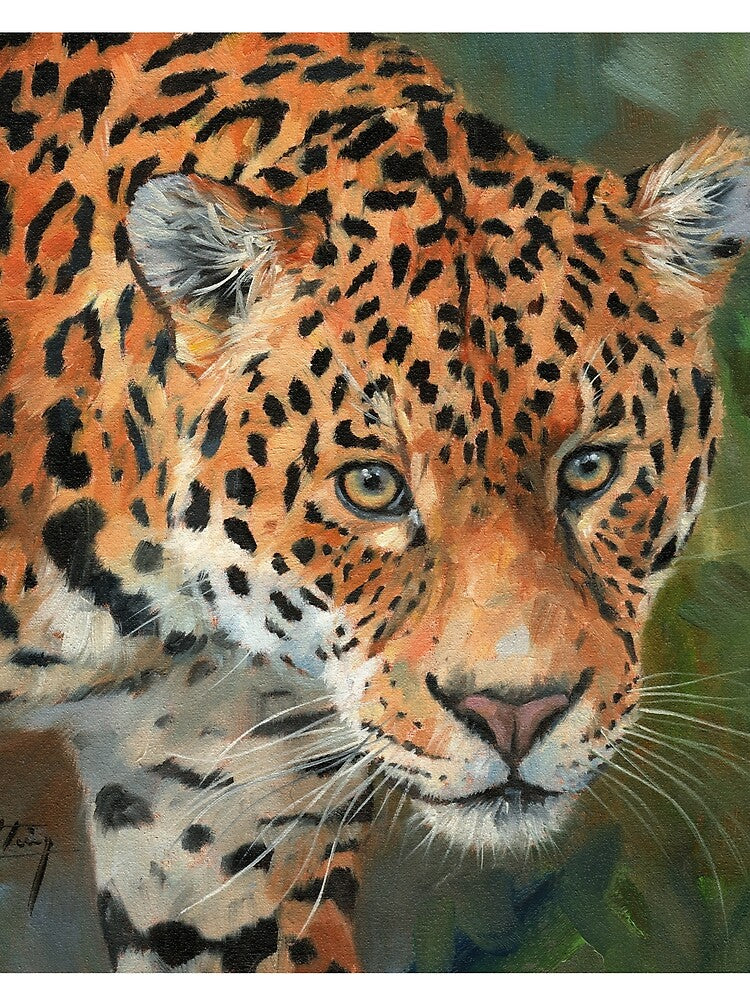 Jaguar Stare. by David Stribbling T-Shirts, Hoodie, Sweatshirt | BlankRebels.com (Image 2)