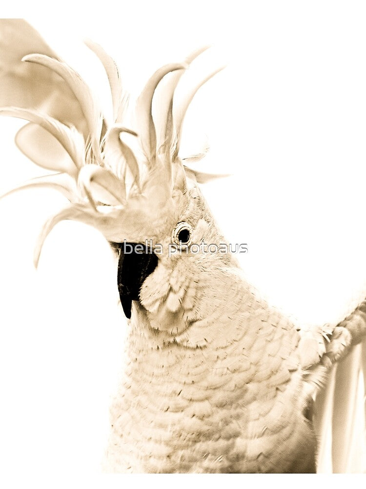 Sulphur-Crested Cockatoo by bella photoaus T-Shirts, Hoodie, Sweatshirt | BlankRebels.com (Image 2)