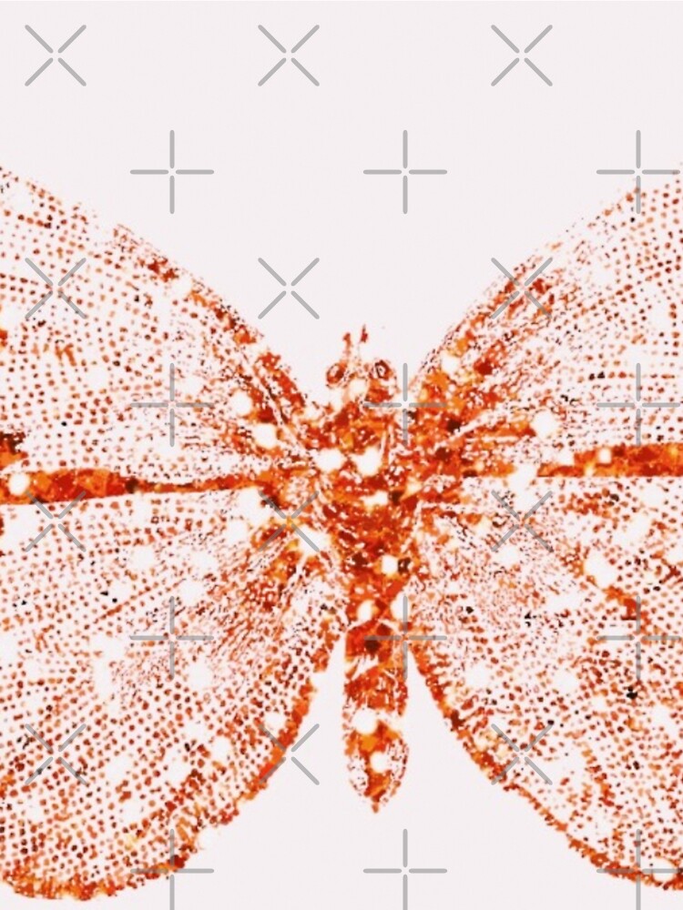 BUTTERFLIES by muybonita T-Shirts, Hoodie, Sweatshirt | BlankRebels.com (Image 2)