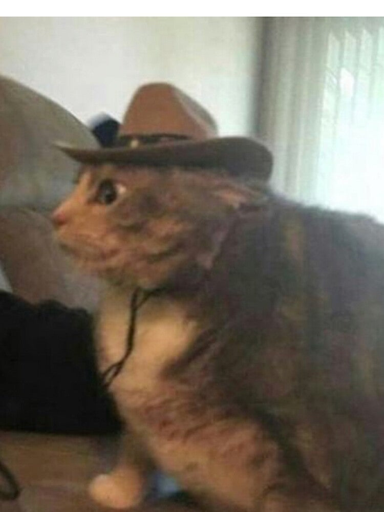 Yeehaw Cat by Elisabeth Nelson T-Shirts, Hoodie, Sweatshirt | BlankRebels.com (Image 2)