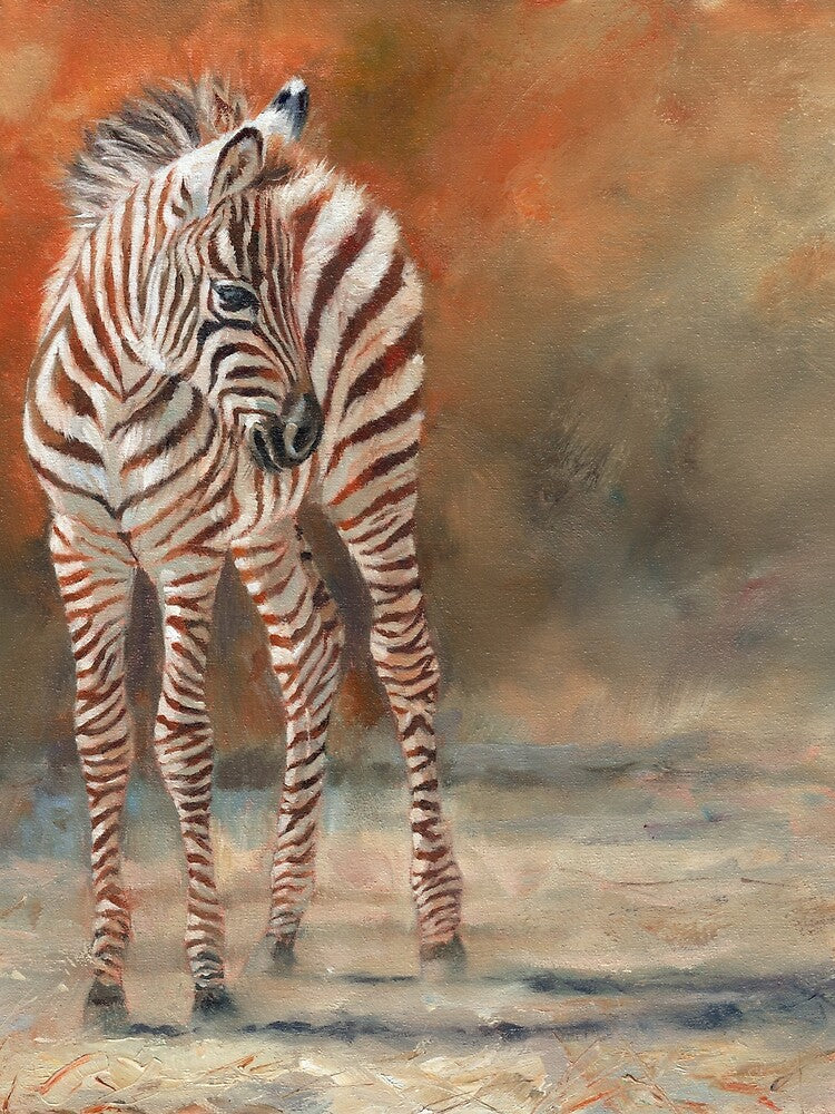 Zebra Foal by David Stribbling T-Shirts, Hoodie, Sweatshirt | BlankRebels.com (Image 2)