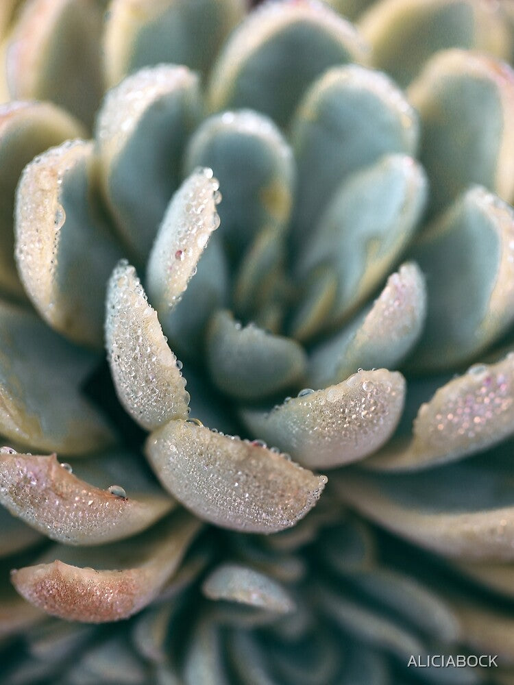 Autumn Succulent #2 by ALICIA BOCK T-Shirts, Hoodie, Sweatshirt | BlankRebels.com (Image 2)