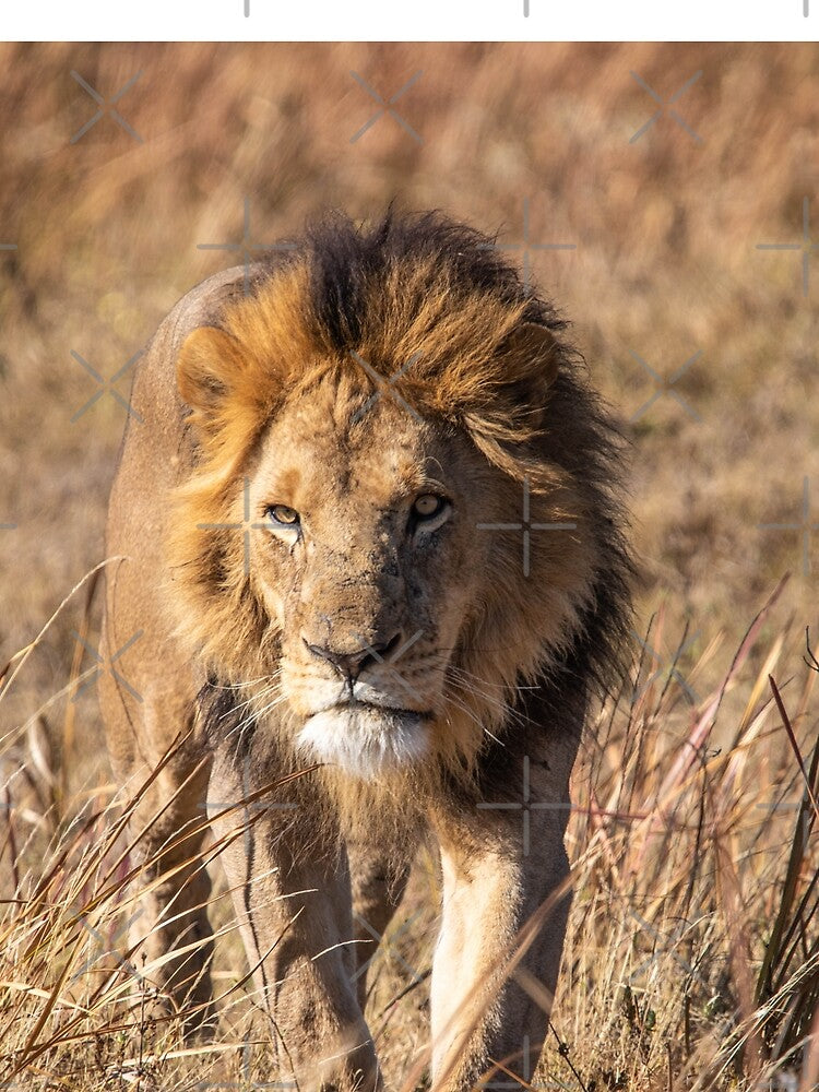 Lion Portrait by elissatitle T-Shirts, Hoodie, Sweatshirt | BlankRebels.com (Image 2)