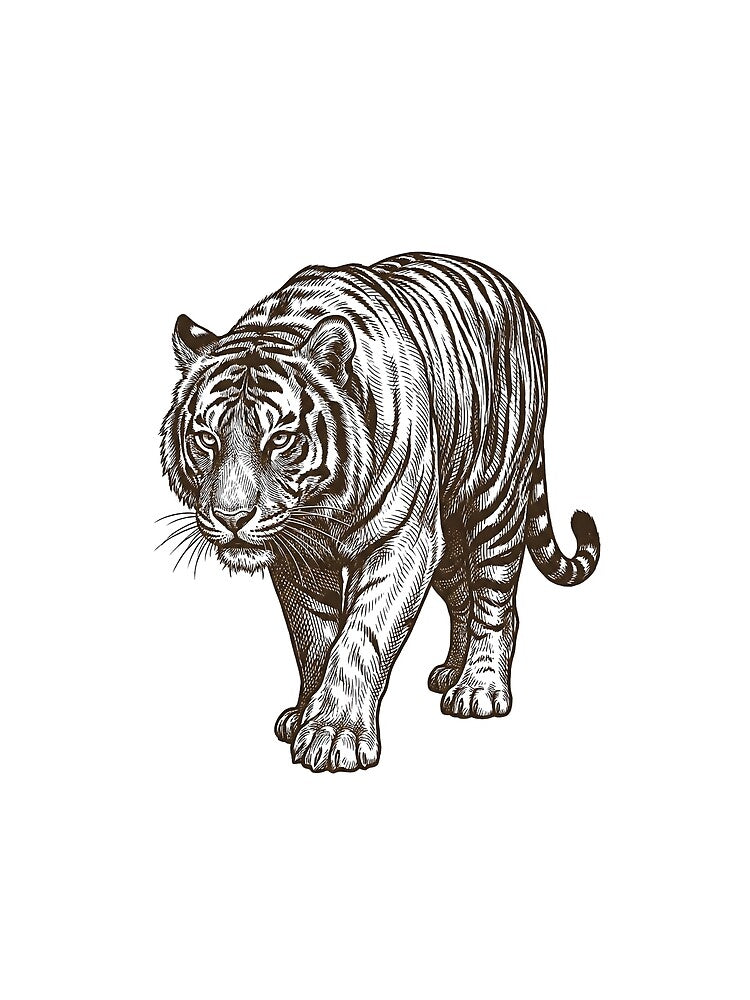 Vintage Woodcut Tiger by Patcha. T-Shirts, Hoodie, Sweatshirt | BlankRebels.com (Image 2)