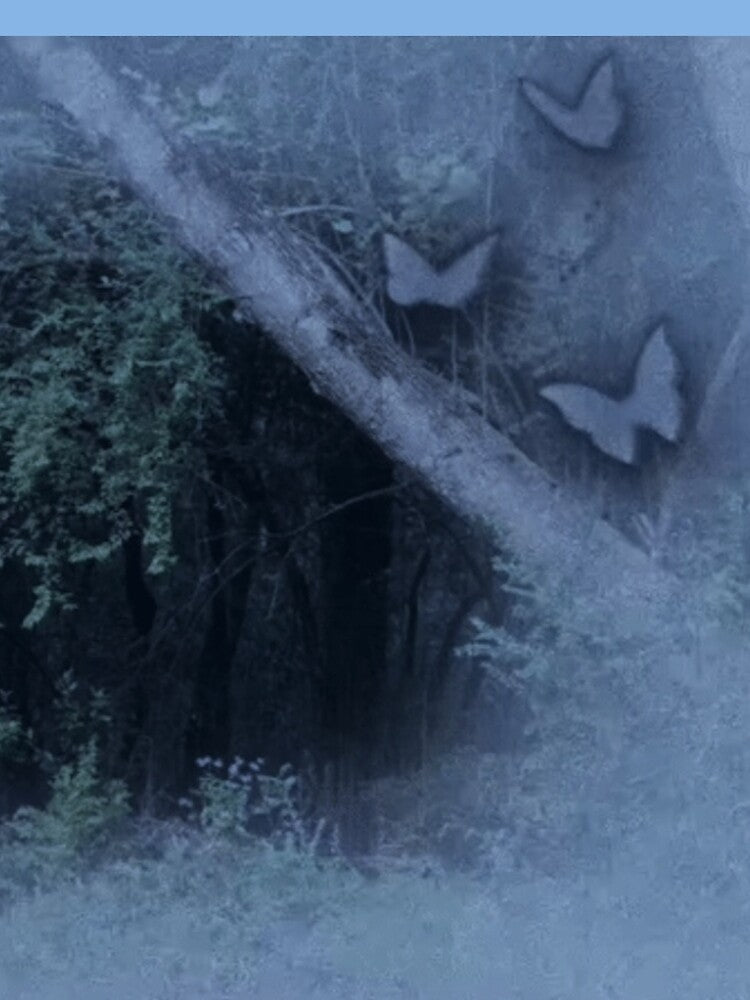 a mysterious entrance in a dark forest by meuliasshop T-Shirts, Hoodie, Sweatshirt | BlankRebels.com (Image 2)