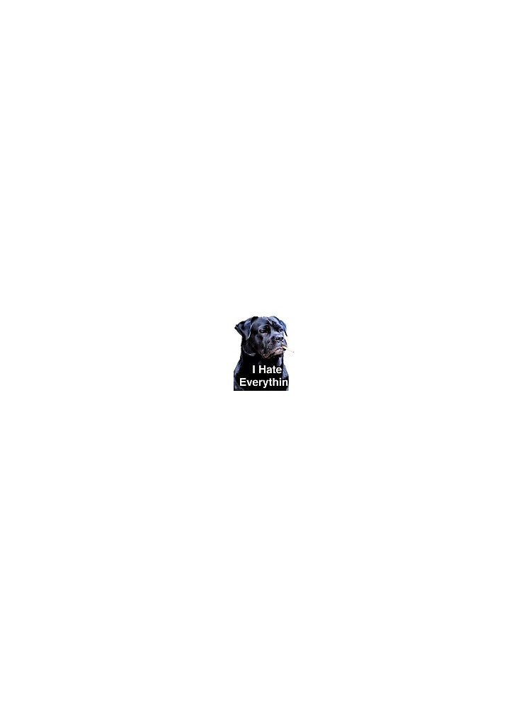 I Hate Everything Dog Sticker by Sukapha T-Shirts, Hoodie, Sweatshirt | BlankRebels.com (Image 2)