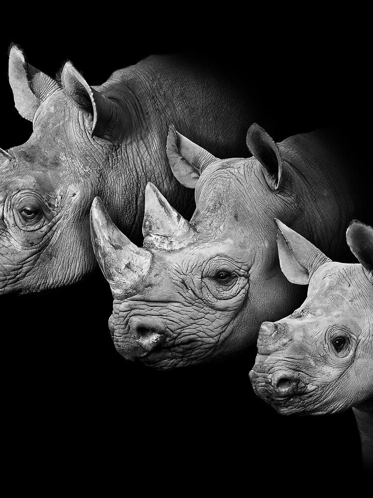 Rhino Family Portrait by Conservation Art Emporium T-Shirts, Hoodie, Sweatshirt | BlankRebels.com (Image 2)