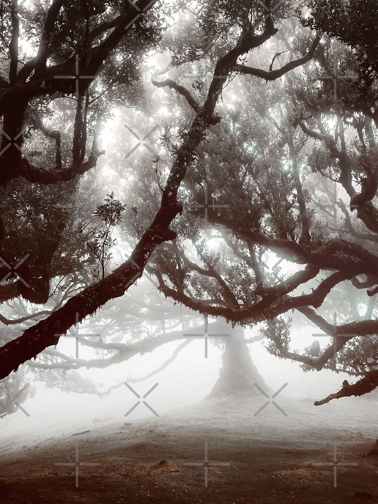 Madeira Mystical Forest 4 by Interpret108 T-Shirts, Hoodie, Sweatshirt | BlankRebels.com (Image 2)