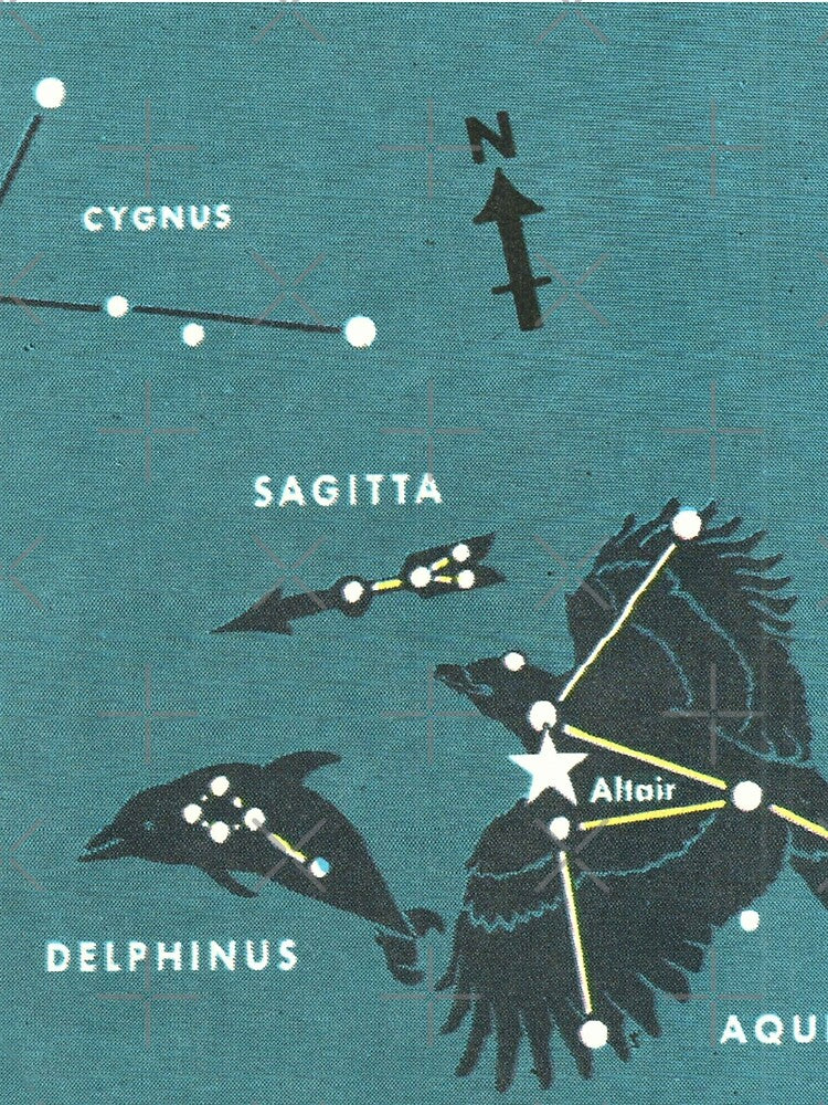 Delphinus Dolphin Constellation - Vintage Retro Star Map by elevens T-Shirts, Hoodie, Sweatshirt | BlankRebels.com (Image 2)