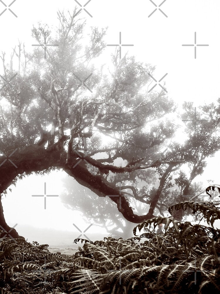 Madeira Mystical Forest 2 by Interpret108 T-Shirts, Hoodie, Sweatshirt | BlankRebels.com (Image 2)