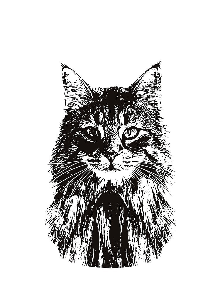 Norwegian Forest gift for Norwegian Forest Owners by DoggyStyles T-Shirts, Hoodie, Sweatshirt | BlankRebels.com (Image 2)