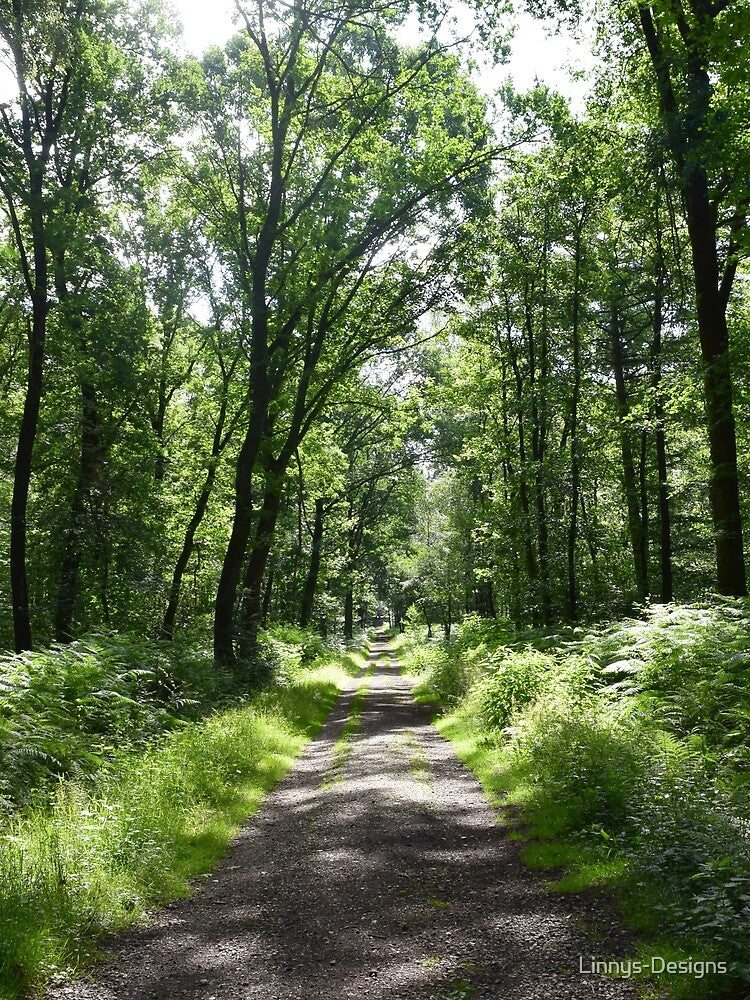 Forest landscape by Linnys-Designs T-Shirts, Hoodie, Sweatshirt | BlankRebels.com (Image 2)
