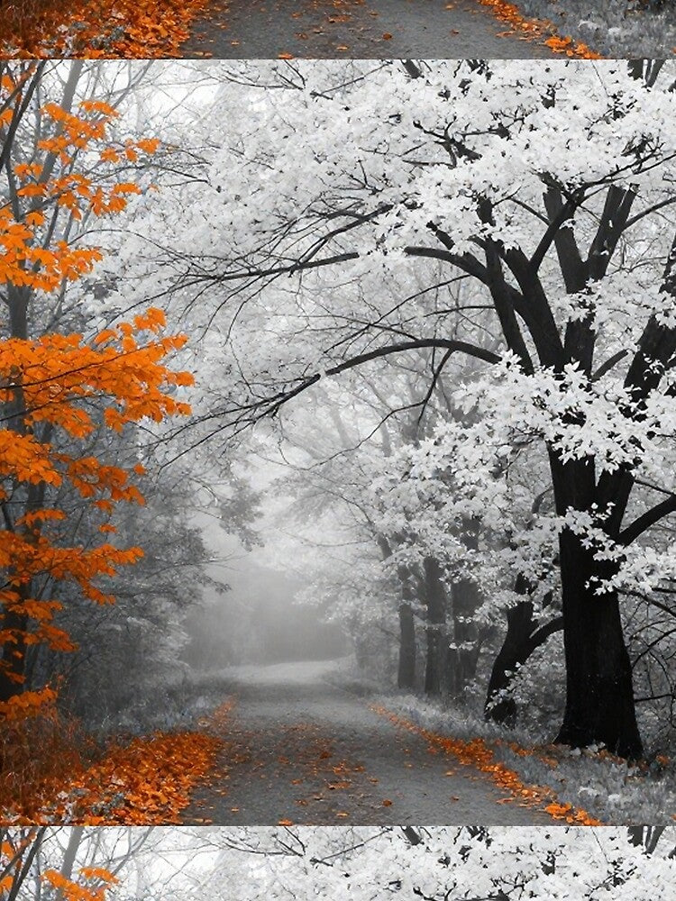 Orange Leaves in the Misty Forest by PixelVibe782 T-Shirts, Hoodie, Sweatshirt | BlankRebels.com (Image 2)