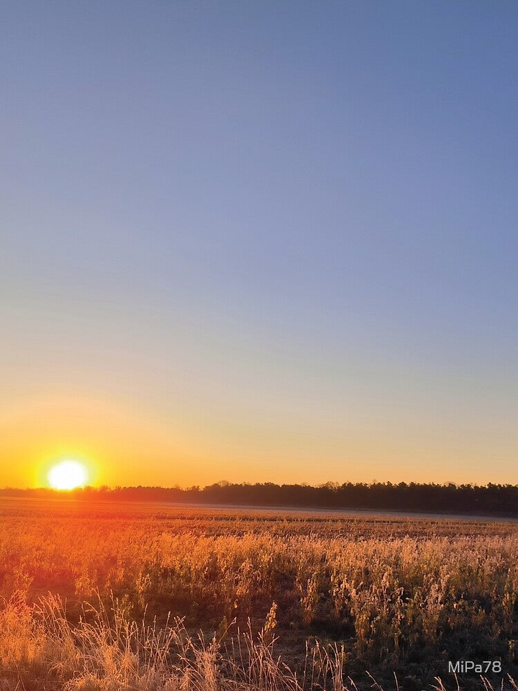 sunrise by MiPa78