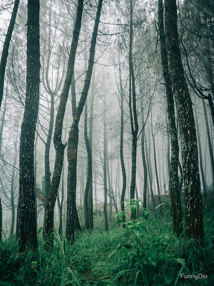 Beautiful Forest Art by FunnyDio T-Shirts, Hoodie, Sweatshirt | BlankRebels.com (Image 2)