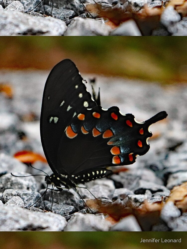 Swallowtail Butterfly by Jennifer Leonard T-Shirts, Hoodie, Sweatshirt | BlankRebels.com (Image 2)