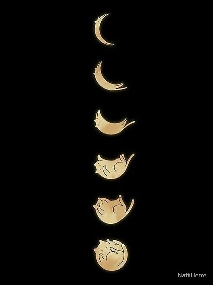 moon phase cat by NatiiHerre T-Shirts, Hoodie, Sweatshirt | BlankRebels.com (Image 2)