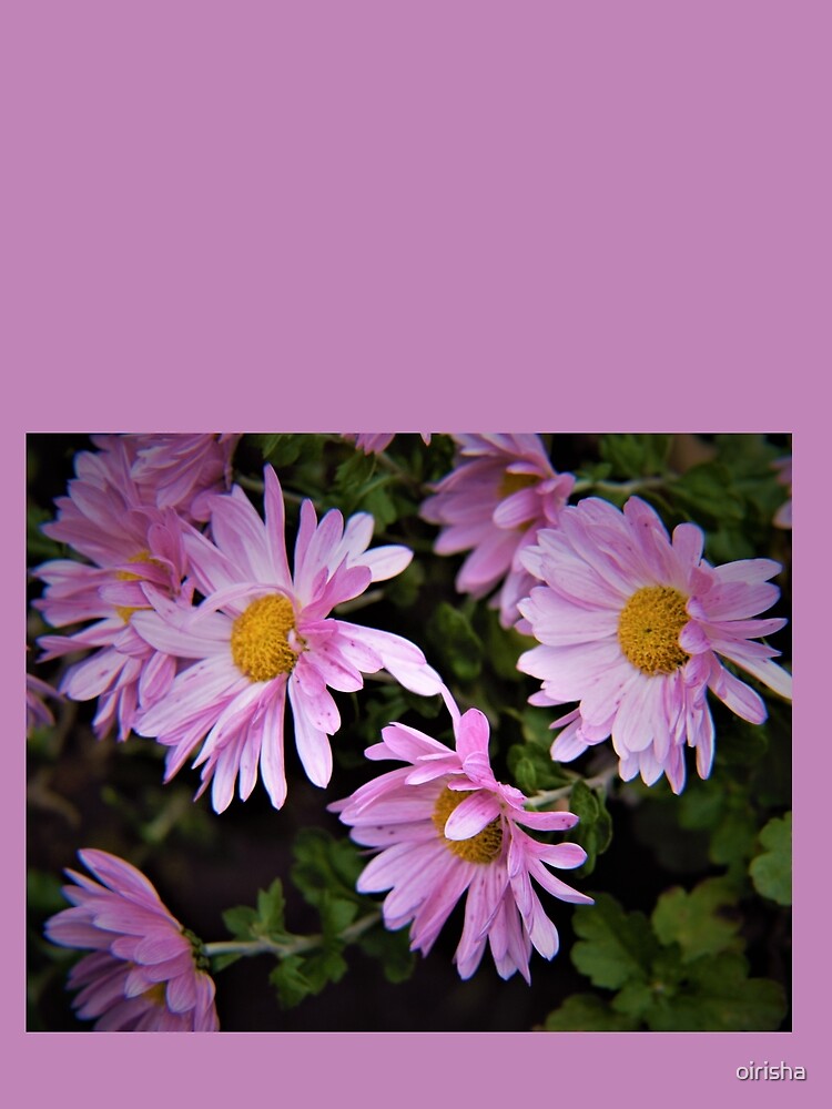 autumn blooms sketch by oirisha T-Shirts, Hoodie, Sweatshirt | BlankRebels.com (Image 2)