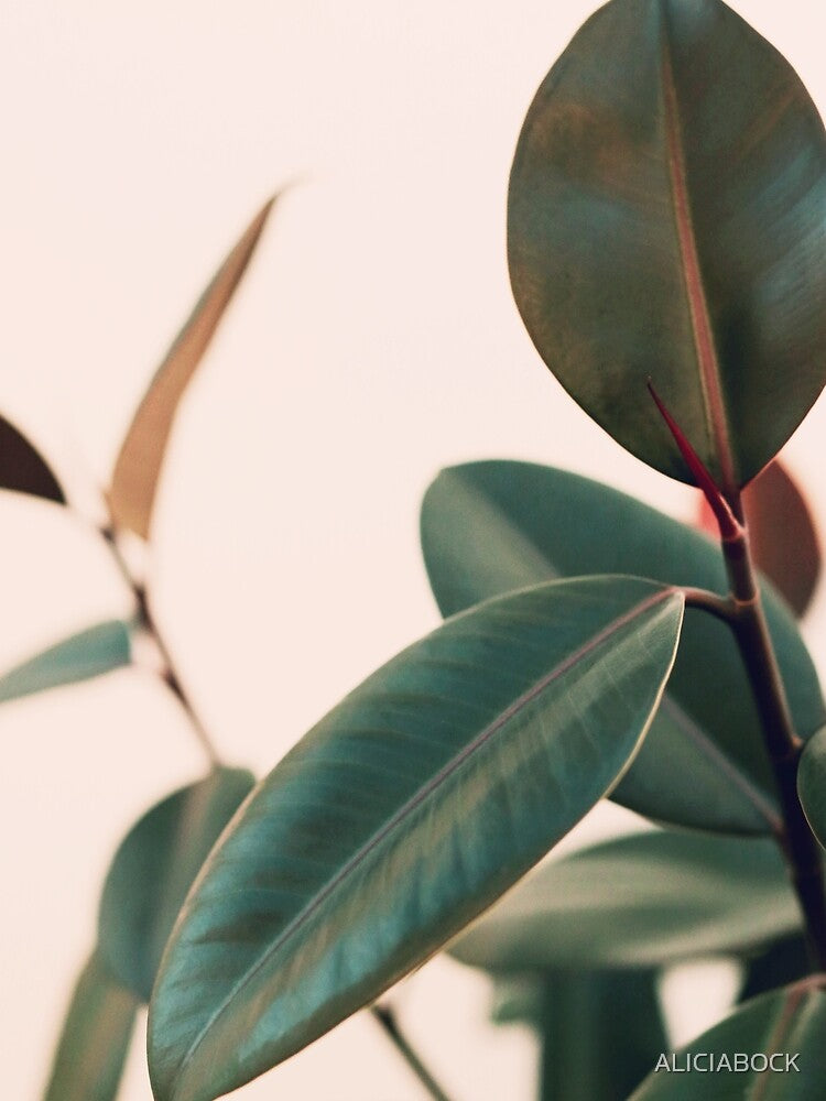 Ficus Elastica #5 by ALICIA BOCK T-Shirts, Hoodie, Sweatshirt | BlankRebels.com (Image 2)