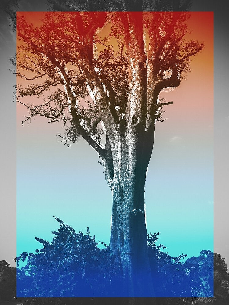 Color Trees by caelinsutch T-Shirts, Hoodie, Sweatshirt | BlankRebels.com (Image 2)