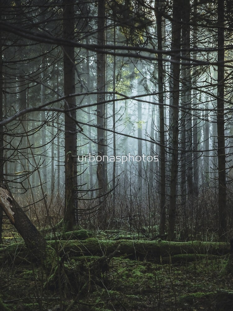 Morning forest lights by urbonasphotos T-Shirts, Hoodie, Sweatshirt | BlankRebels.com (Image 2)