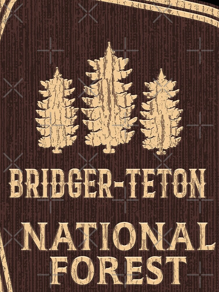 Bridger Teton national forest by Nature-mark T-Shirts, Hoodie, Sweatshirt | BlankRebels.com (Image 2)