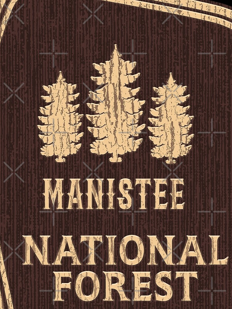 Manistee national forest by Nature-mark T-Shirts, Hoodie, Sweatshirt | BlankRebels.com (Image 2)