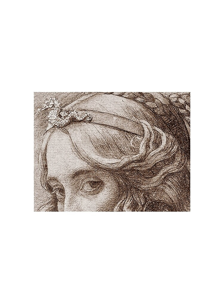 Armand Point, detail, Portrait de Madame Berthelot, 1895. by apopofbeauty T-Shirts, Hoodie, Sweatshirt (Image 2)