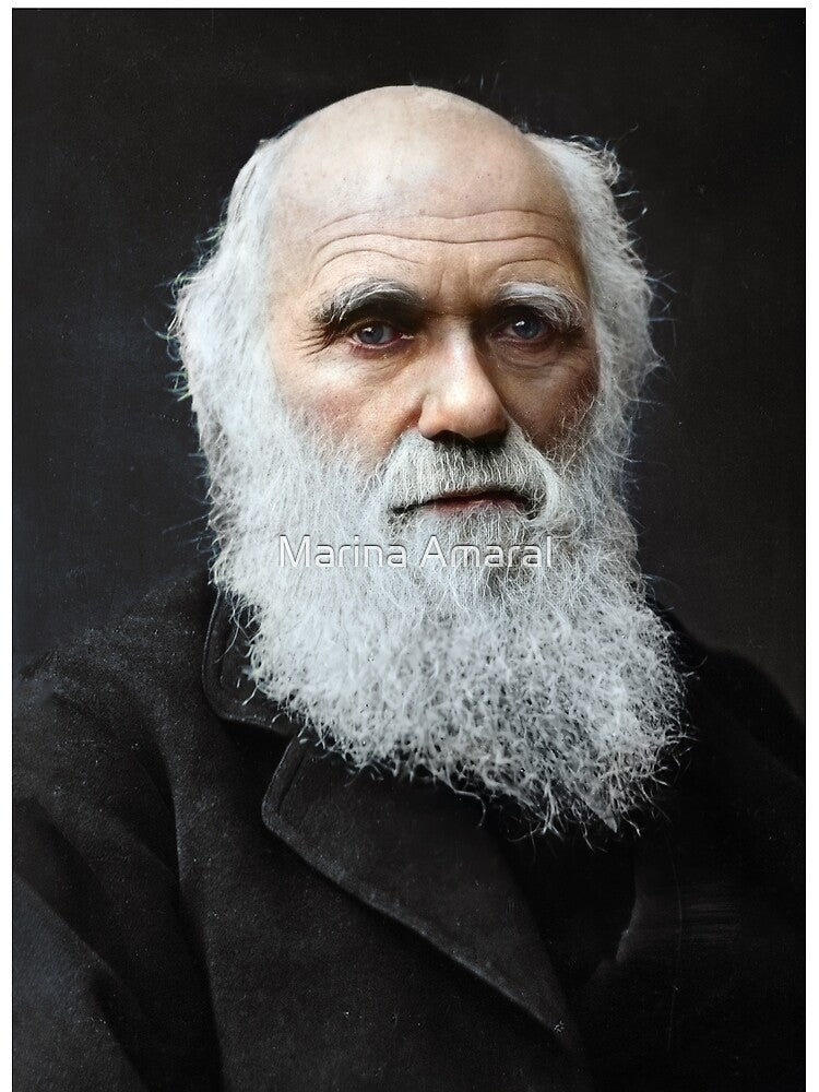 Charles Darwin by Marina Amaral T-Shirts, Hoodie, Sweatshirt | BlankRebels.com (Image 2)