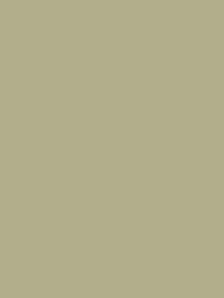 Sage Green Home Decor, Gifts for Women & Moms, Birthday or Mother’s Day Gift, Sage Green Aesthetic Room Decor,... (Image 2)