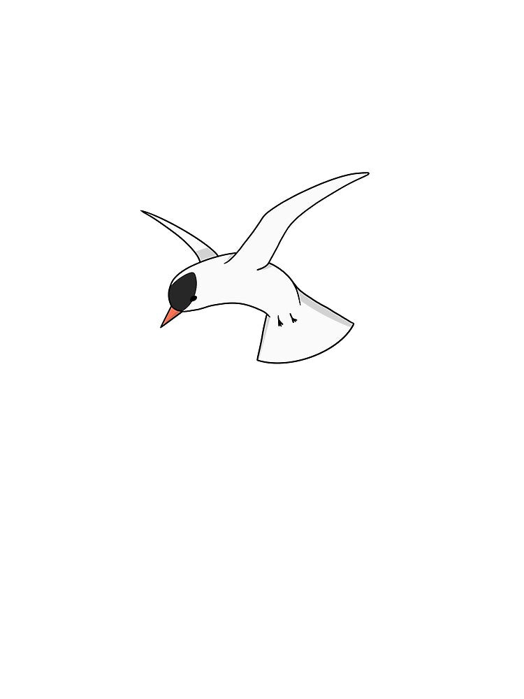 Arctic Tern | Arctic February Prompt List 2021 | QuirkyDolphin by QuirkyDolphin T-Shirts, Hoodie, Sweatshirt (Image 2)