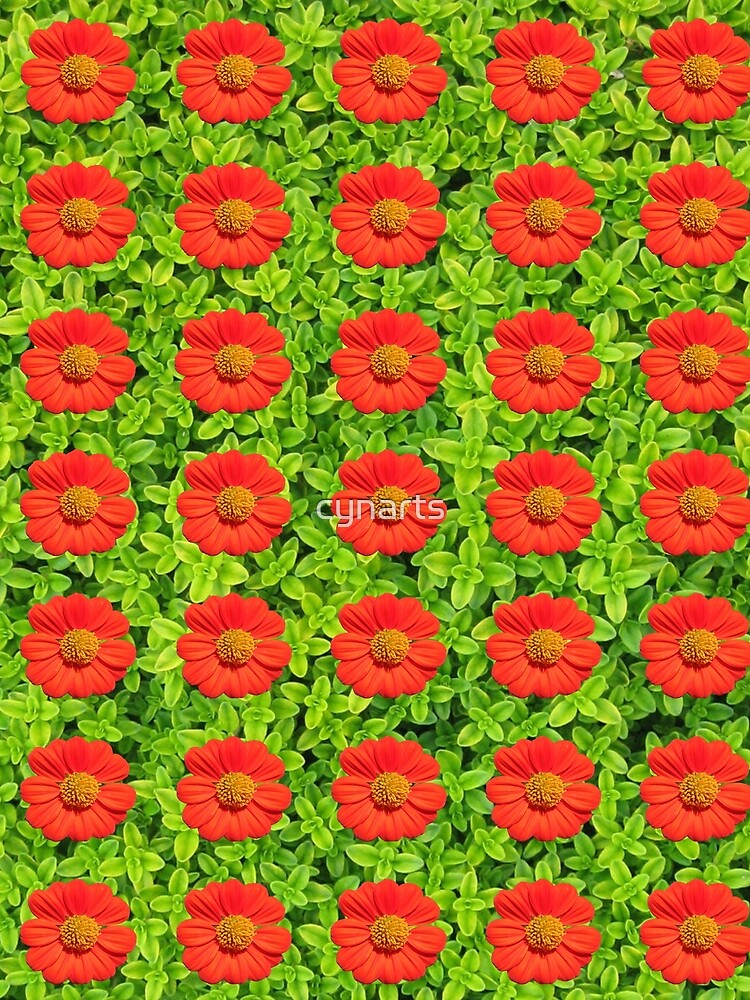 Red Sun Flower by cynarts