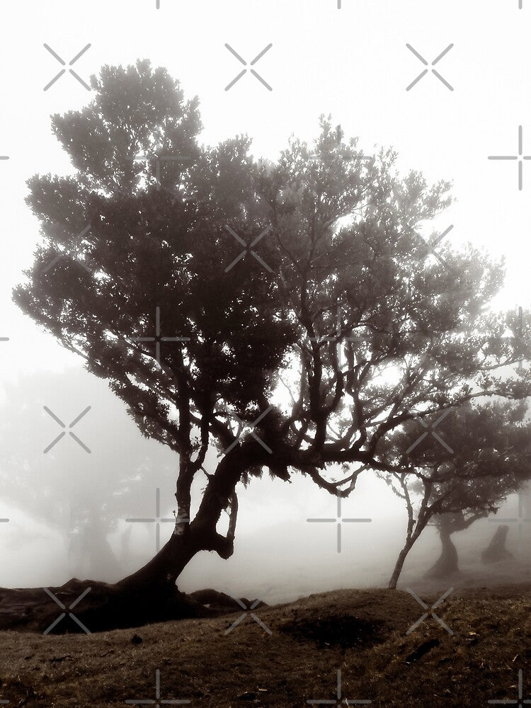 Madeira Mystical Forest 1 by Interpret108 T-Shirts, Hoodie, Sweatshirt | BlankRebels.com (Image 2)
