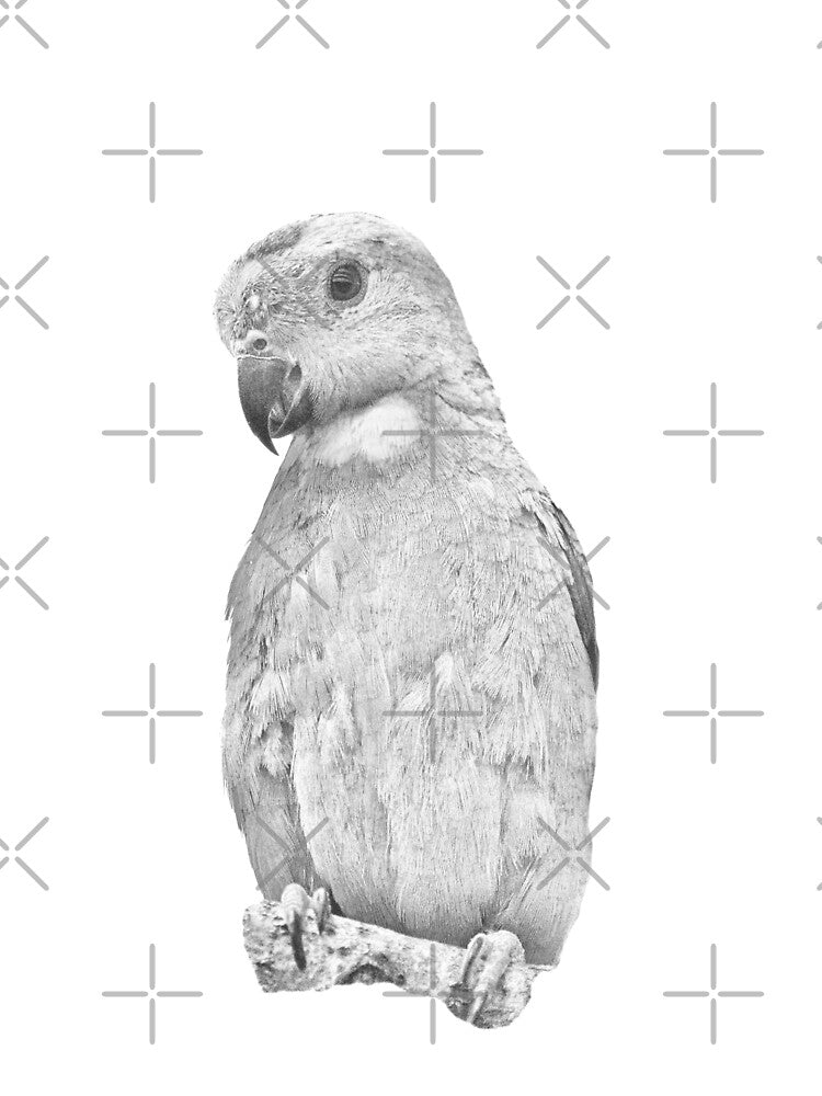 Parrot Black & White Photograph by FK2012 T-Shirts, Hoodie, Sweatshirt | BlankRebels.com (Image 2)