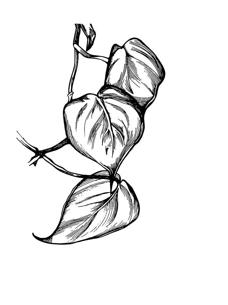Hand drawing sketch philodendron by VaskanianArt T-Shirts, Hoodie, Sweatshirt | BlankRebels.com (Image 2)