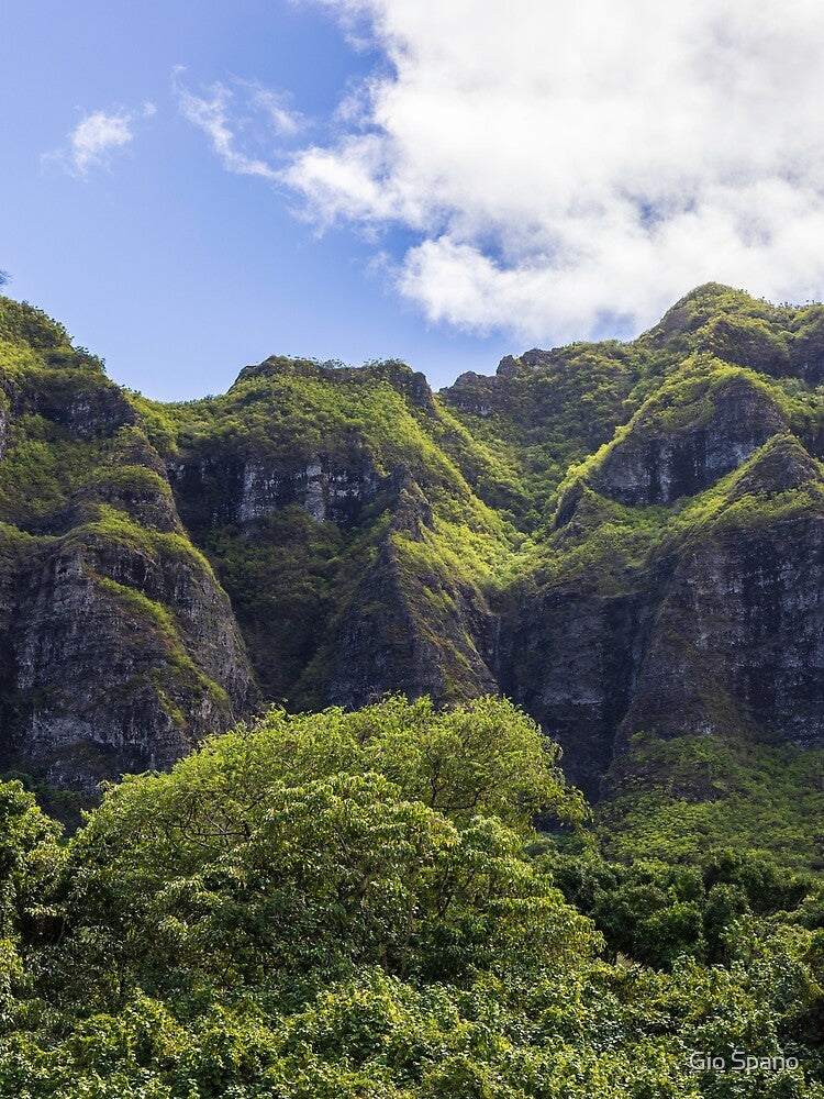 Lush Mountain Kualoa Hawaii by Gio Spano T-Shirts, Hoodie, Sweatshirt | BlankRebels.com (Image 2)