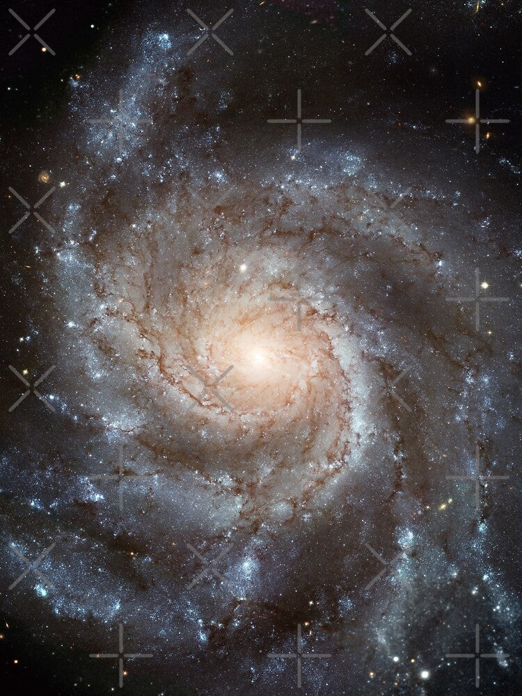 Pinwheel Galaxy (M101, NGC 5457) - Largest ever galaxy portrait (constellation of Ursa Major) by Raureif... (Image 2)