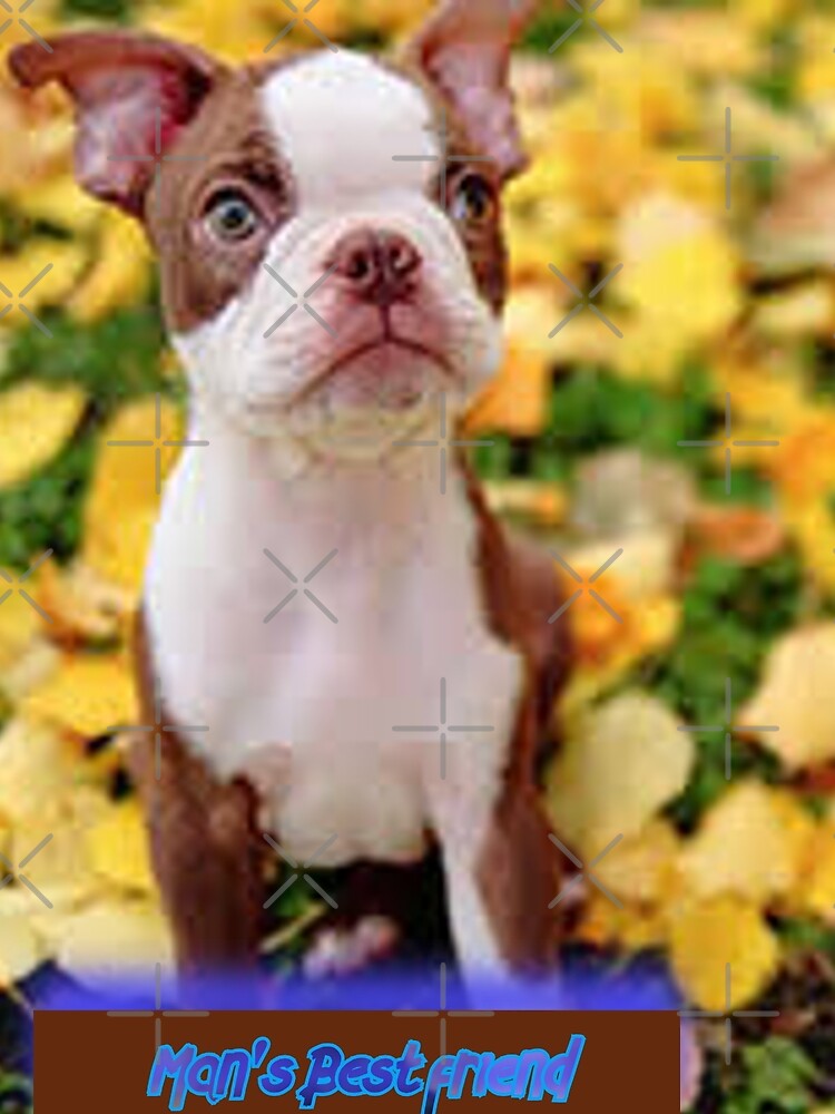 Man's Best Friend by Devilsproduct T-Shirts, Hoodie, Sweatshirt | BlankRebels.com (Image 2)