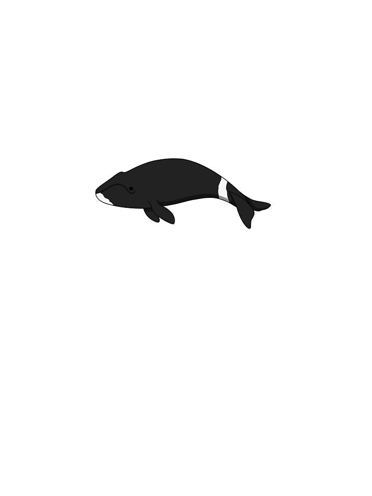 Bowhead Whale | Arctic February Prompt List 2021 | QuirkyDolphin by QuirkyDolphin T-Shirts, Hoodie, Sweatshirt (Image 2)