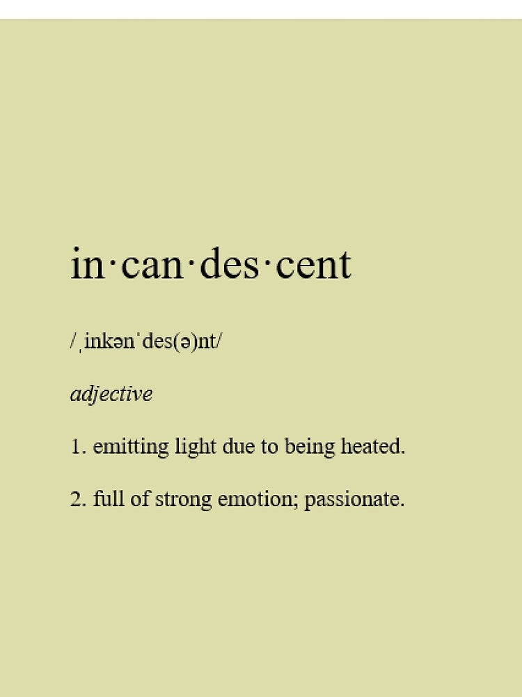 Dictionary Definition of Incandescent by ACH-Designs T-Shirts, Hoodie, Sweatshirt | BlankRebels.com (Image 2)