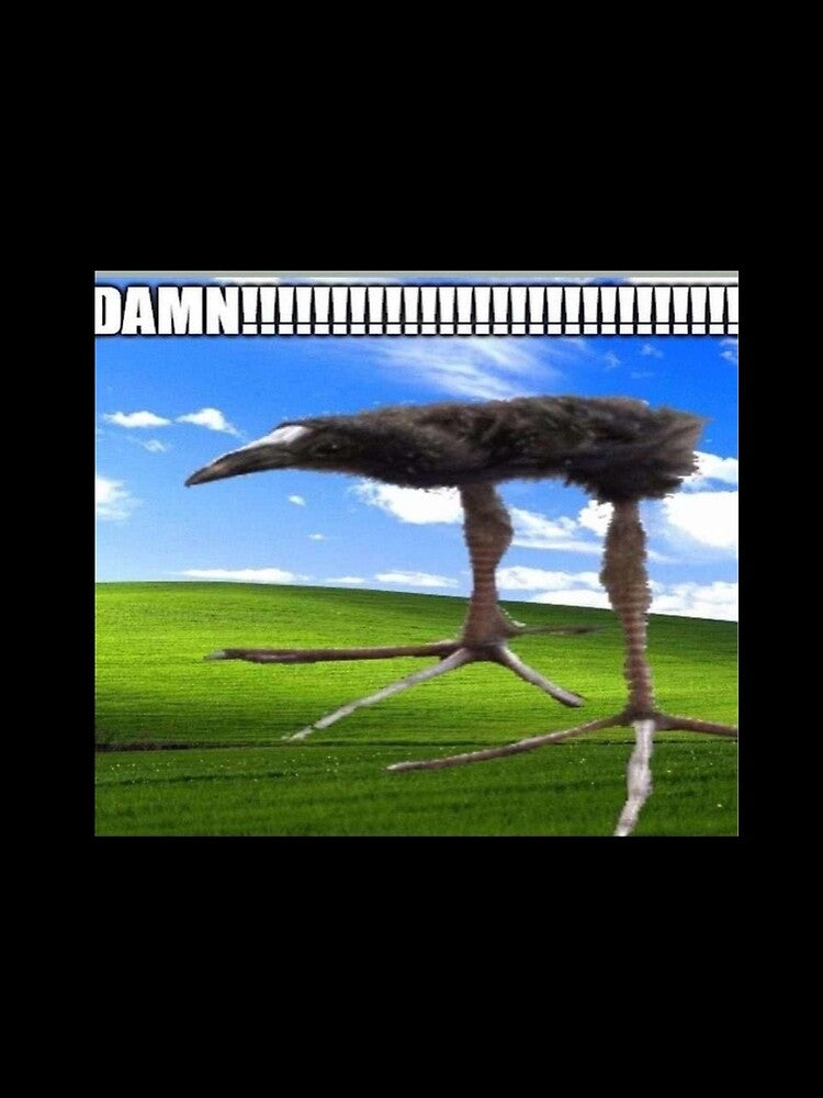 DAMN! Bird by peejayem