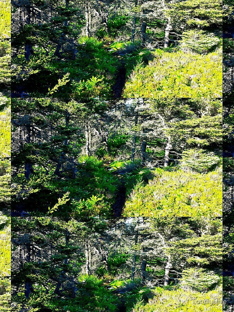 Off the Beaten Path - Dead Forest by Totallyalive T-Shirts, Hoodie, Sweatshirt | BlankRebels.com (Image 2)