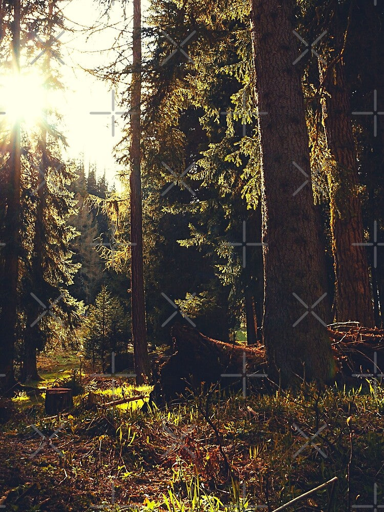 Magical Forest Sunrise by olegarh T-Shirts, Hoodie, Sweatshirt | BlankRebels.com (Image 2)